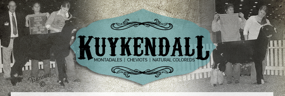 Kuykendall Custom Fitting